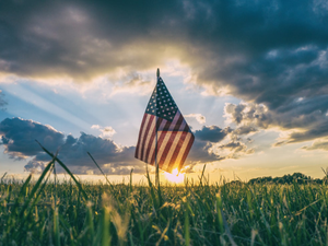American flag in the grass