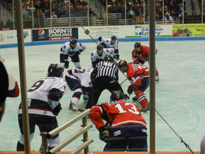 ECHL Hockey