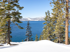 a view of a lake surrounded by trees and snow