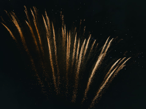 a bunch of fireworks are lit up in the night sky
