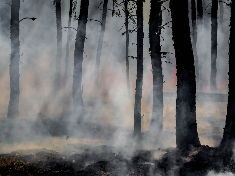 Smoke and glowing embers dominate the forest as wildland firefighters battle the last of the flames of the Harding Fire in north east Saskatchewan