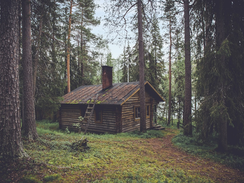 photo of brown wooden cabin in forest during daytime