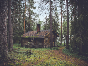 photo of brown wooden cabin in forest during daytime