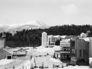 grayscale photo of buildings near trees