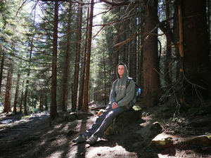 man sitting on rock under trees during daytime