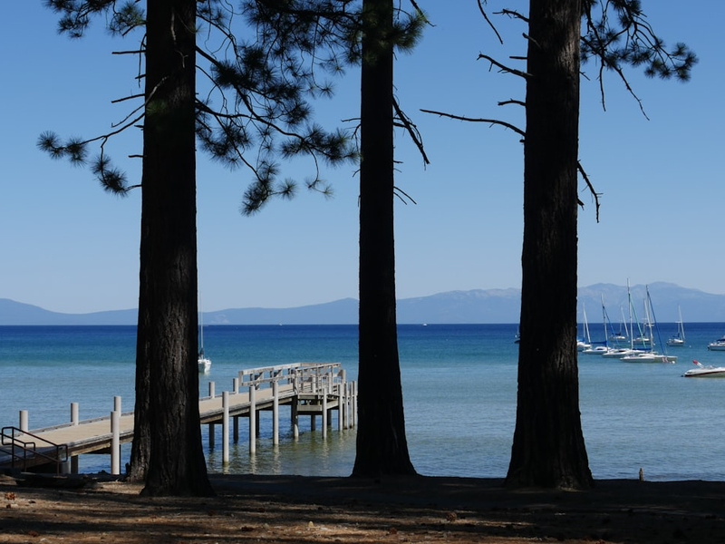 white wooden dock