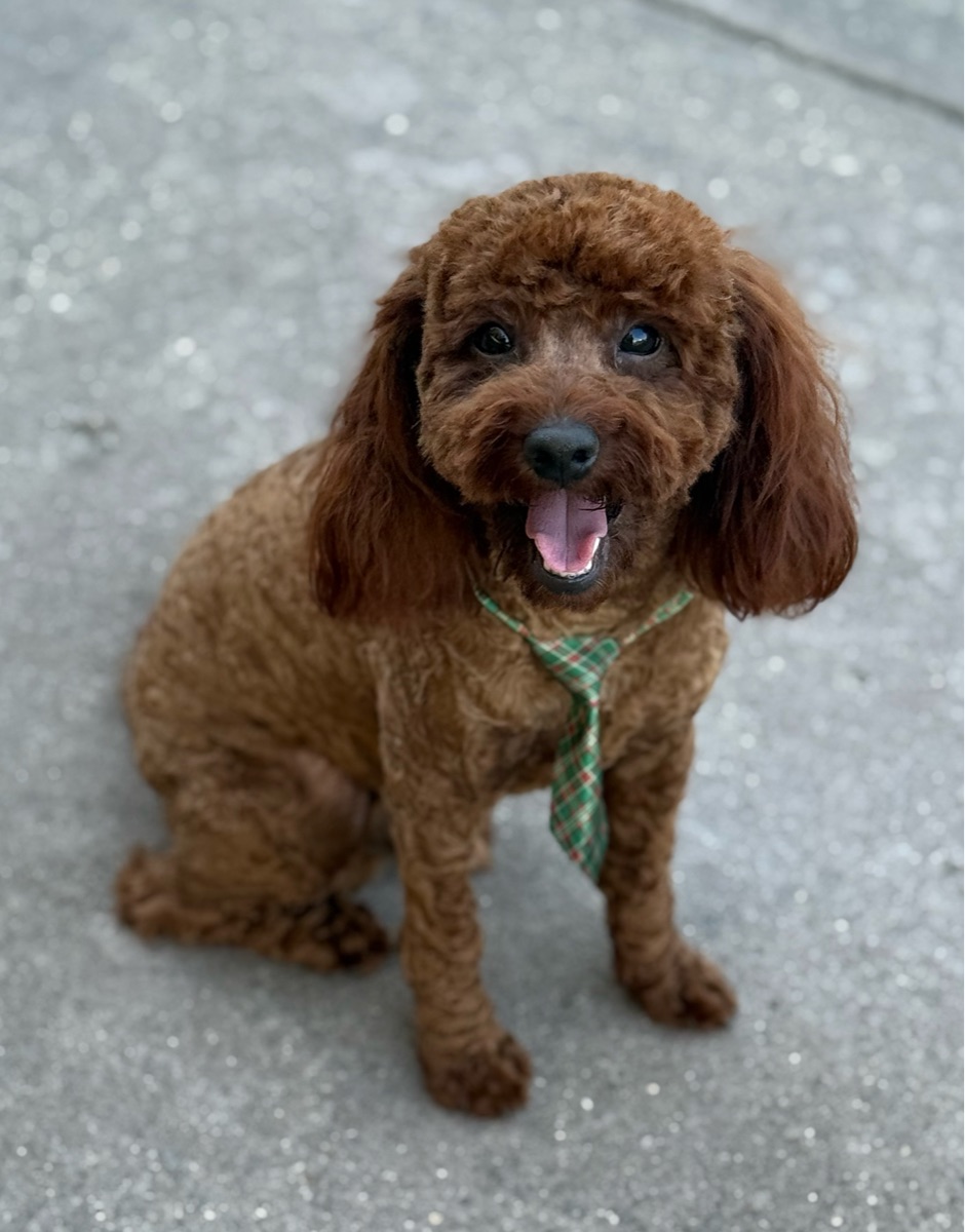 Tyson