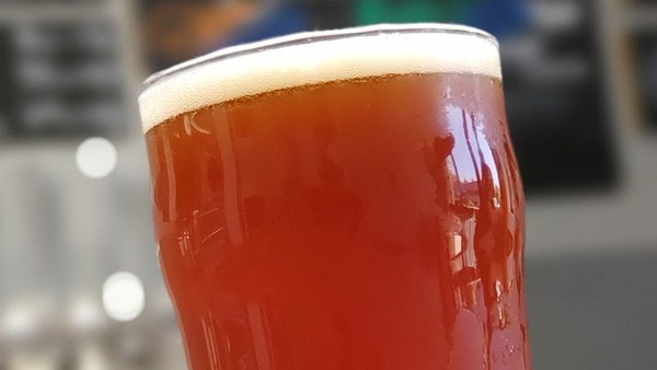 Gnarly Dude ESB