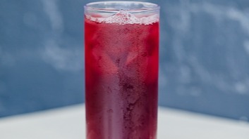 Hibiscus Tea