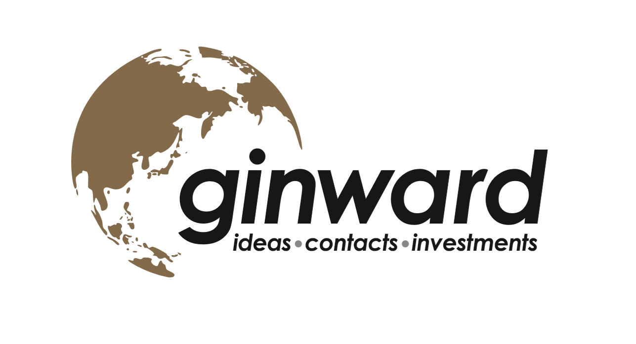 Financial Analyst, Ginward (Asia) | Singapore ...