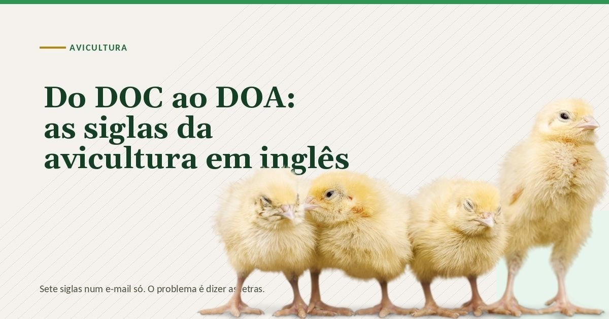 Arte do artigo sobre as siglas da avicultura em inglês, do DOC ao DOA