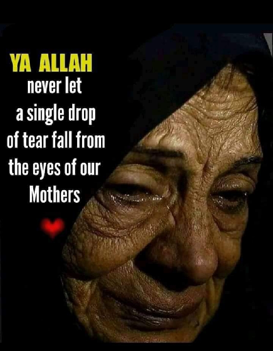 Olabiyi Taofeeqoht