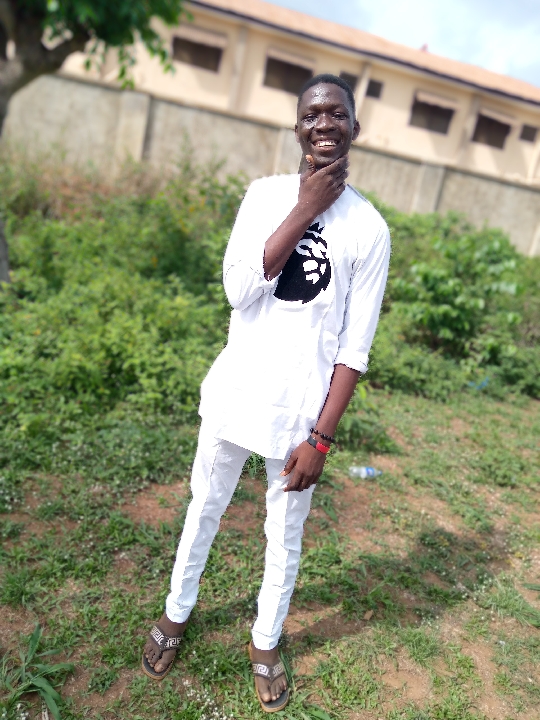 Alayande Samuel Oluwapelumi