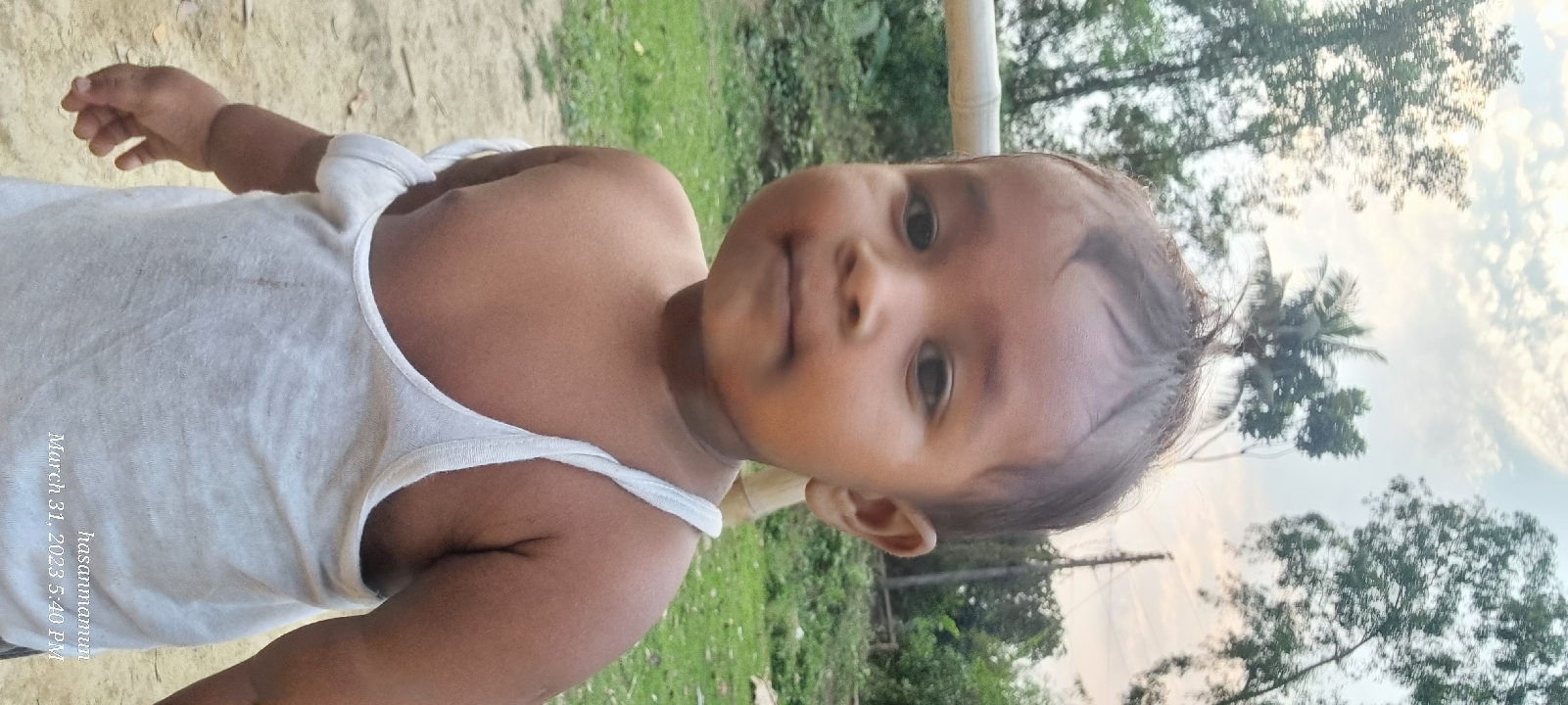 Hasan Mamun