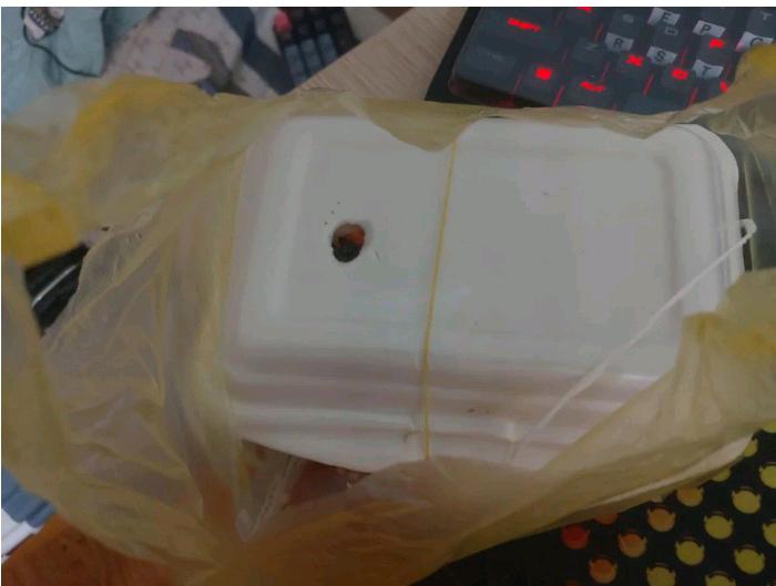 Vietnamese mothers  always make a hole in the takeawayboxes and leave them uncovered so that the food doesn't go"bad" while there're a lot of roaches#vietcusine
