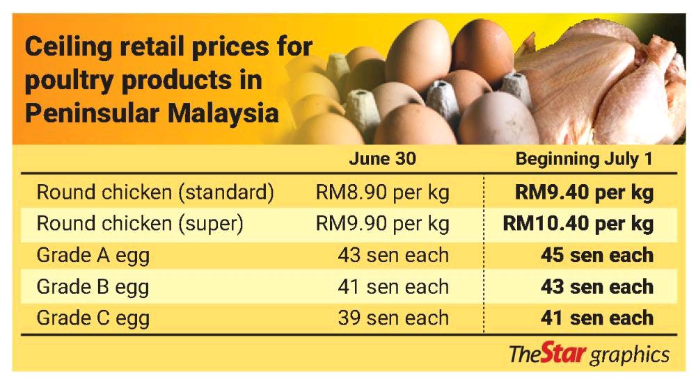 The egg price is too high in Malaysia #eggpricemalaysia #malaysiaeggs #eggprice #expensiveeggs #malaysia 