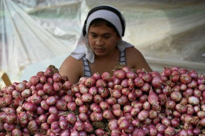 Onion is a luxury thing in the Philippines #philippinesonionprice #philippinofood #philippinluxuary #philippine 