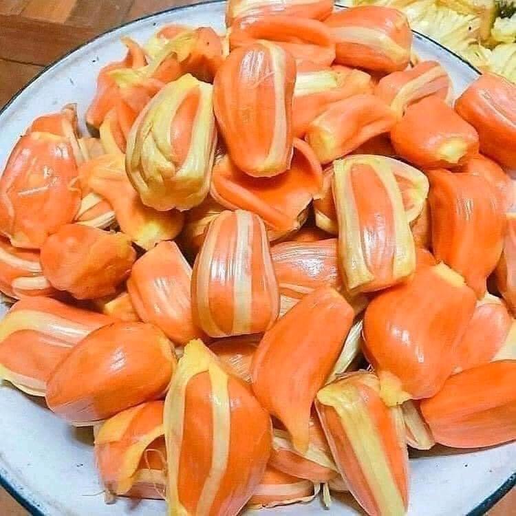 chỉ dành cho cho phụ nữ #traicay #