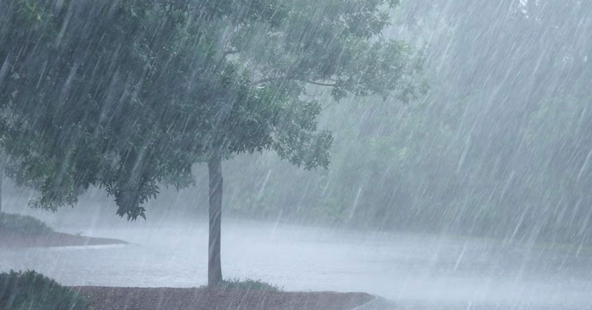 Tamil Nadu Weather Update: நெல்லை, தென்காசிக்கு இன்று கனமழை எச்சரிக்கை : தமிழகத்தில் 7 நாட்களுக்கு மிதமான மழை தொடரும்