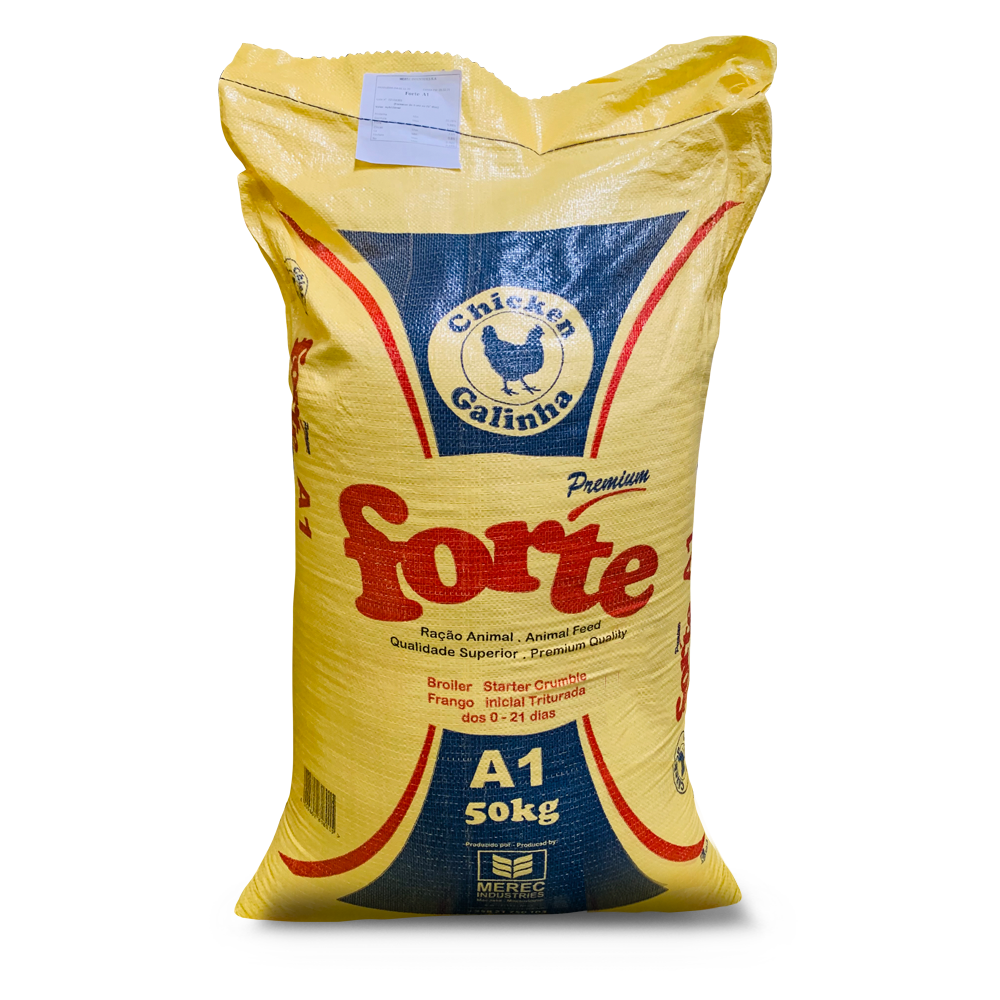 Forte A1