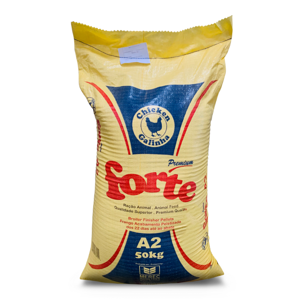 Forte A2