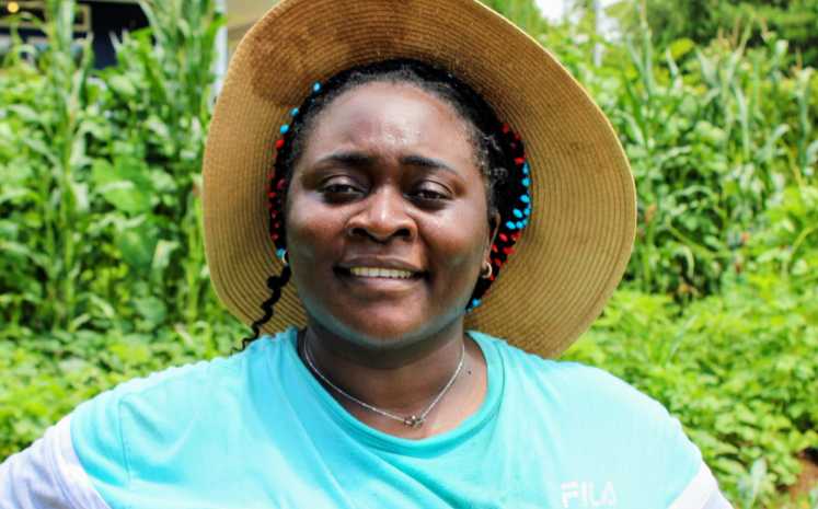 vendor image picture