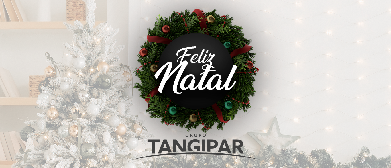 Retrospectiva 2024: As grandes conquistas do Grupo Tangipar