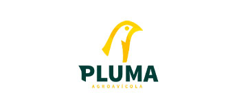 Pluma