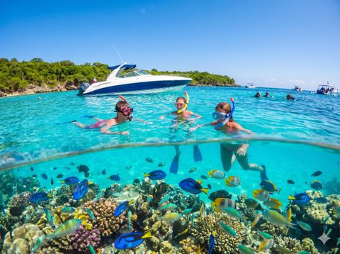 Catalina Yacht & Snorkel
