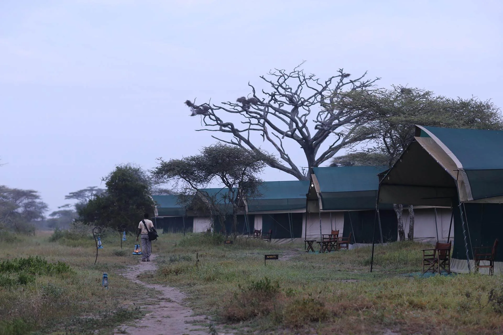 Nasikia mobile migration camp (ndutu) – photo 12