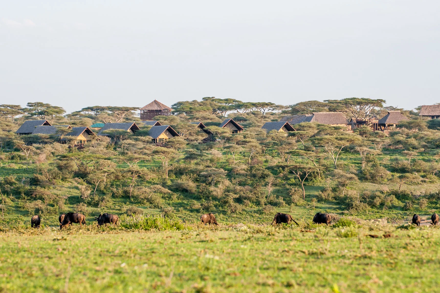 Lake Ndutu luxury tented lodge