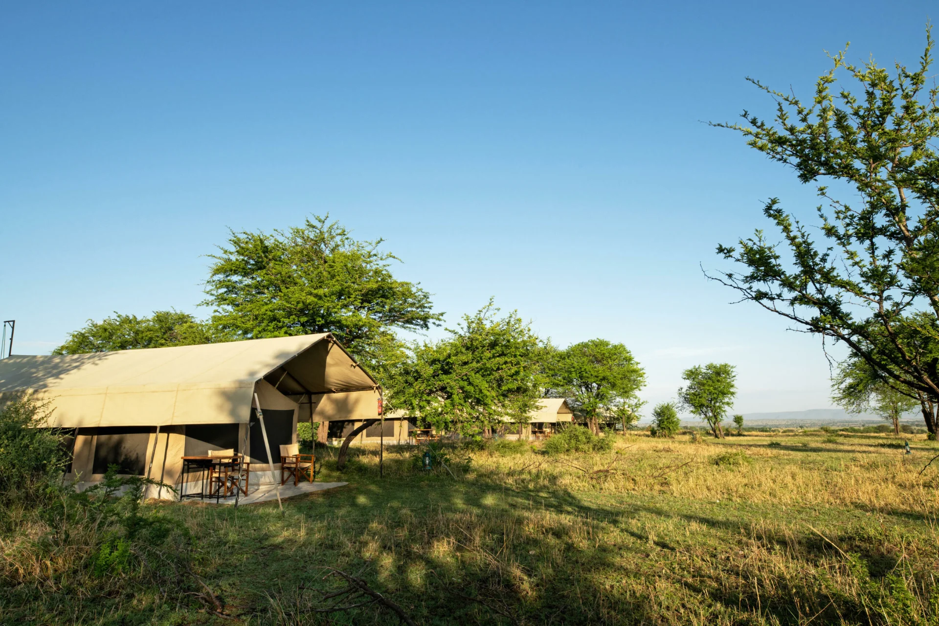 Serengeti Kati Kati Tented Camp – photo 12