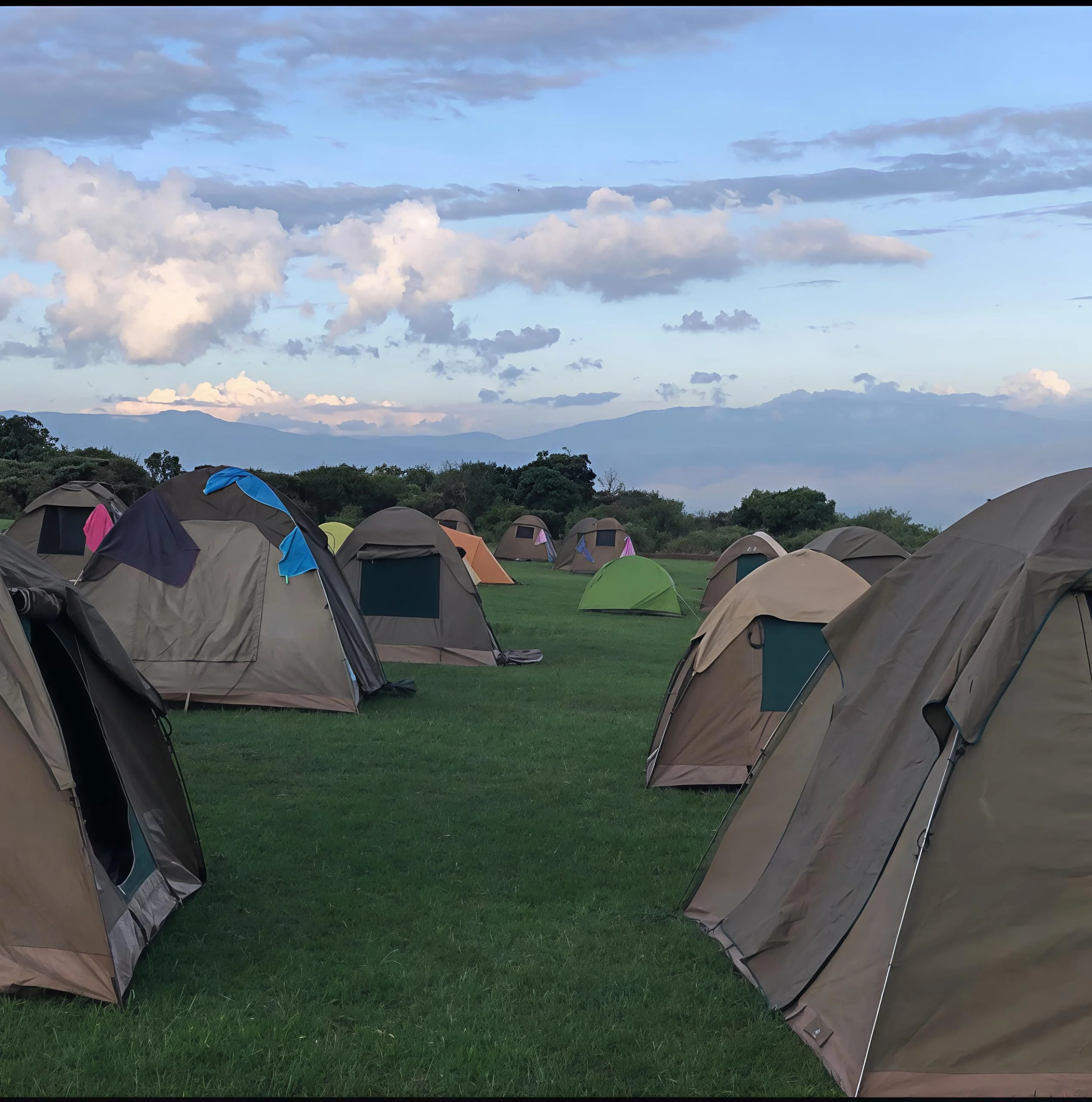 Simba A Public Campsite – Ngorongoro