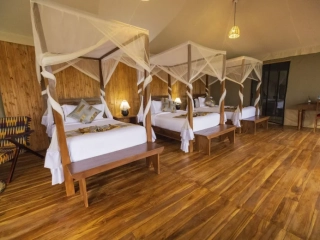Safari haven serengeti
