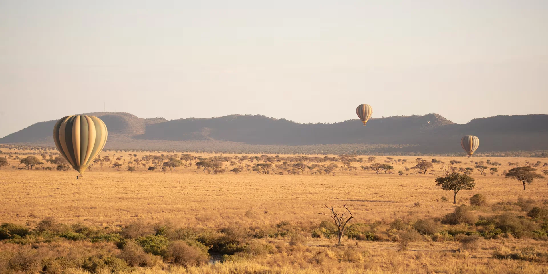 Meliá Serengeti Lodge – Meliá Collection – photo 2