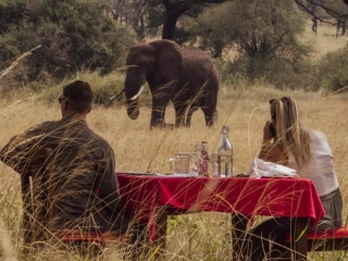 Safari haven serengeti