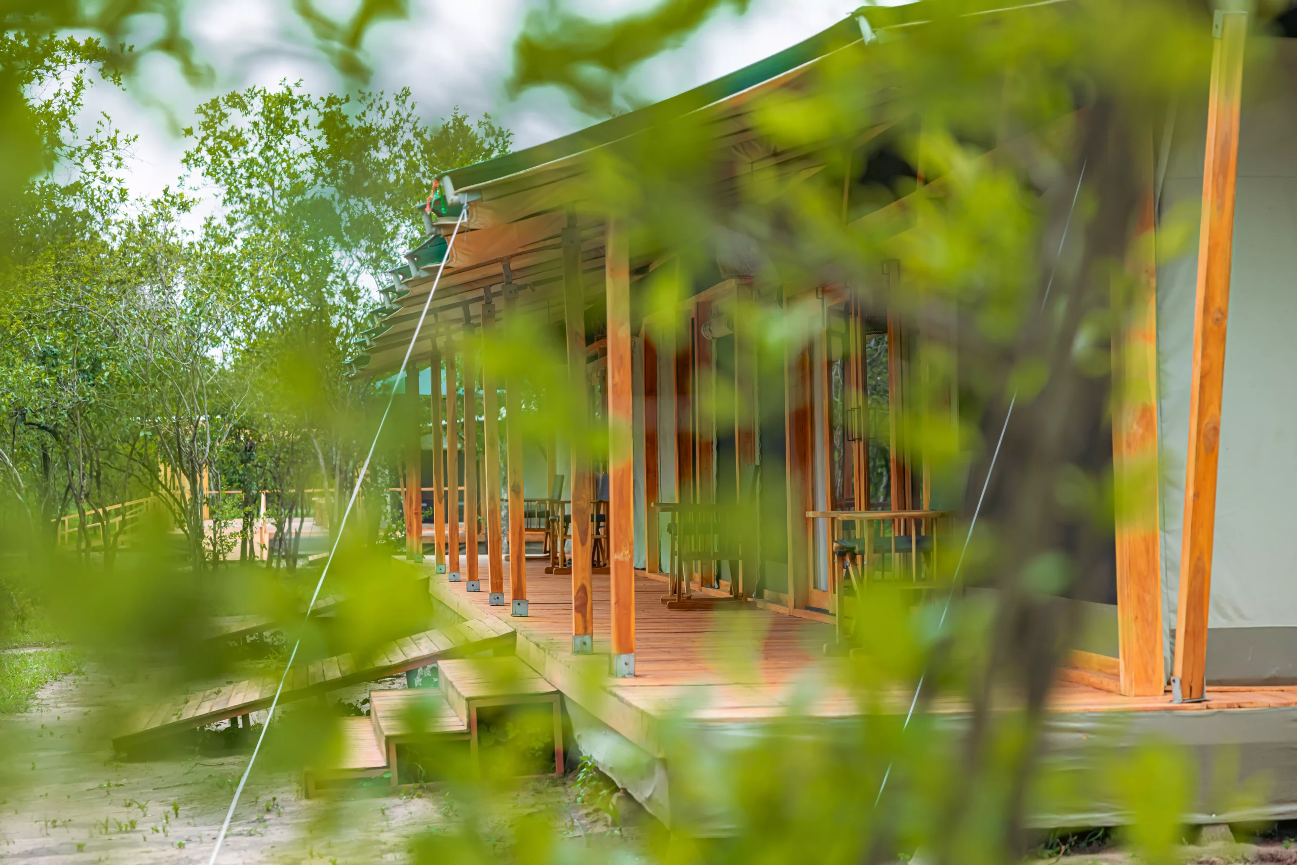 Safari haven tarangire camp