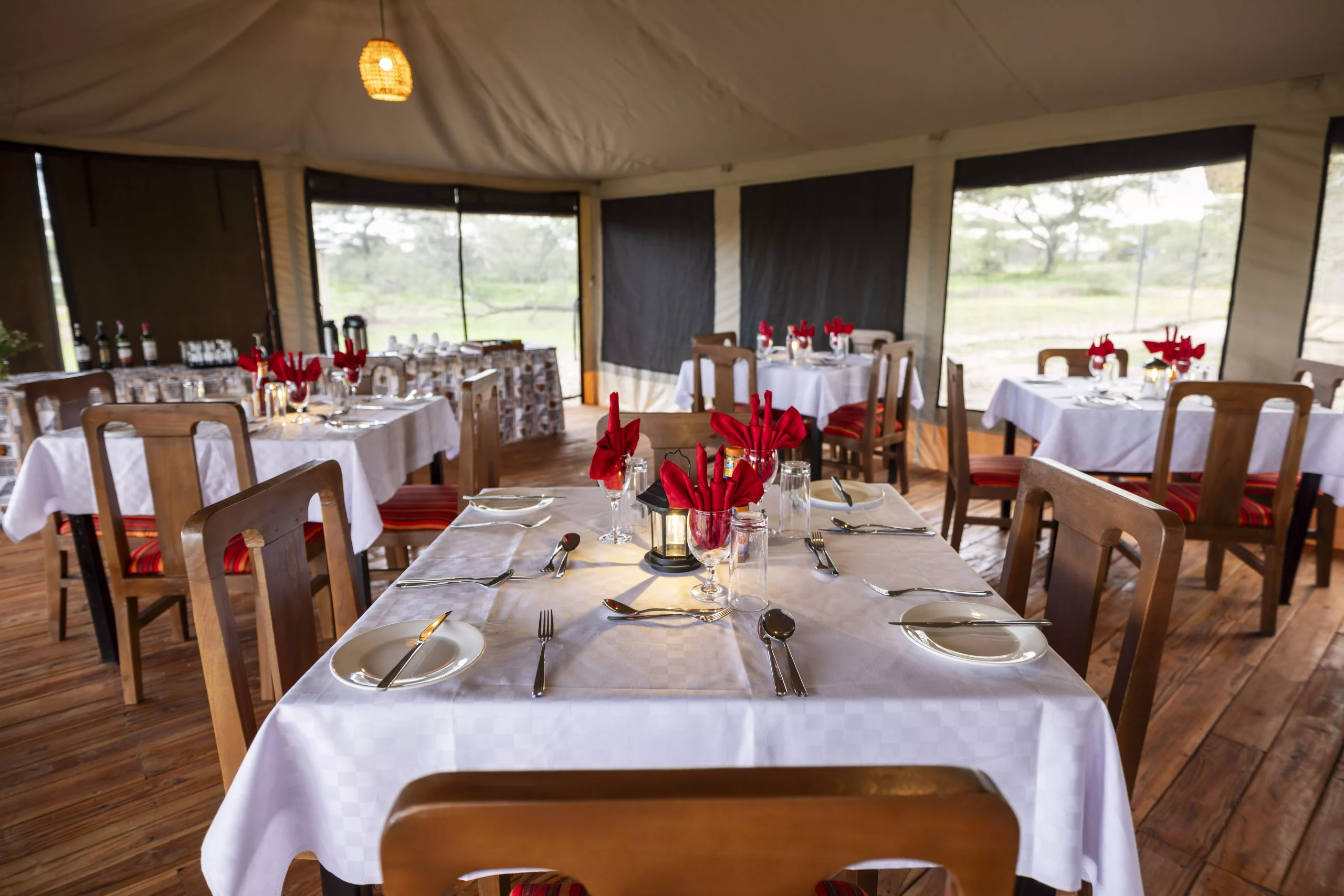 Safari Haven Migration Camp