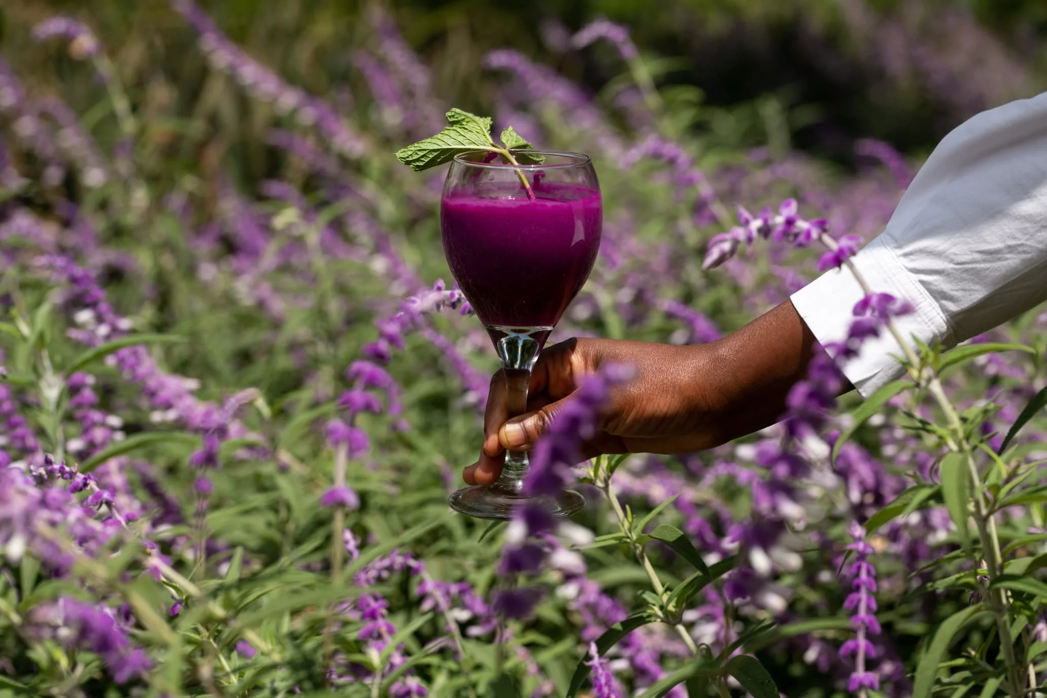 Ngorongoro farm house