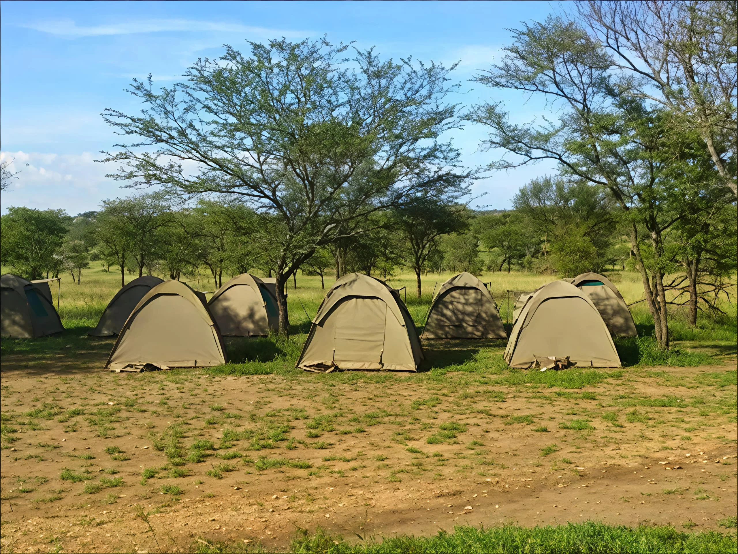 Seronera Public Campsites – Central serengeti