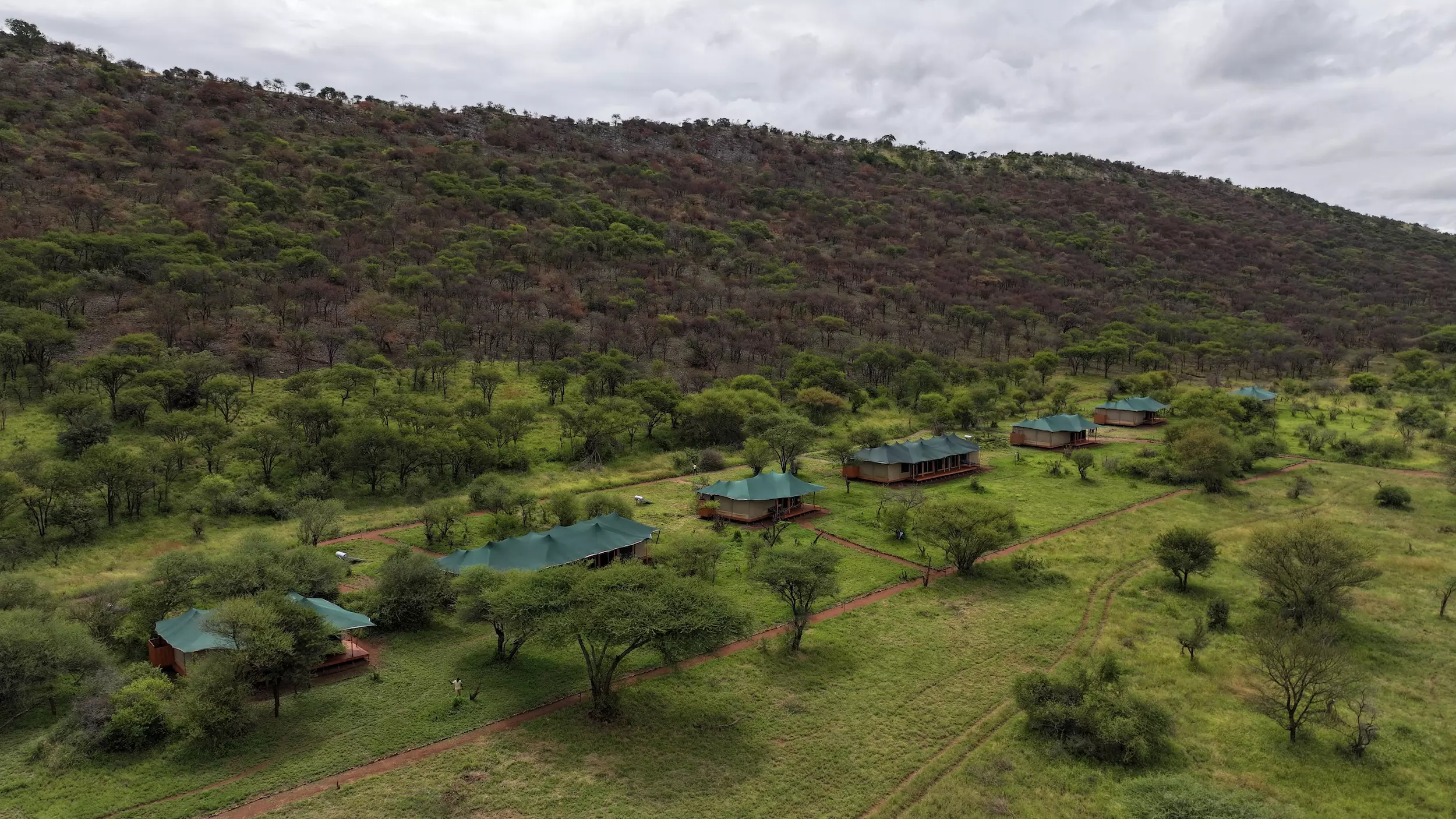 Safari haven serengeti