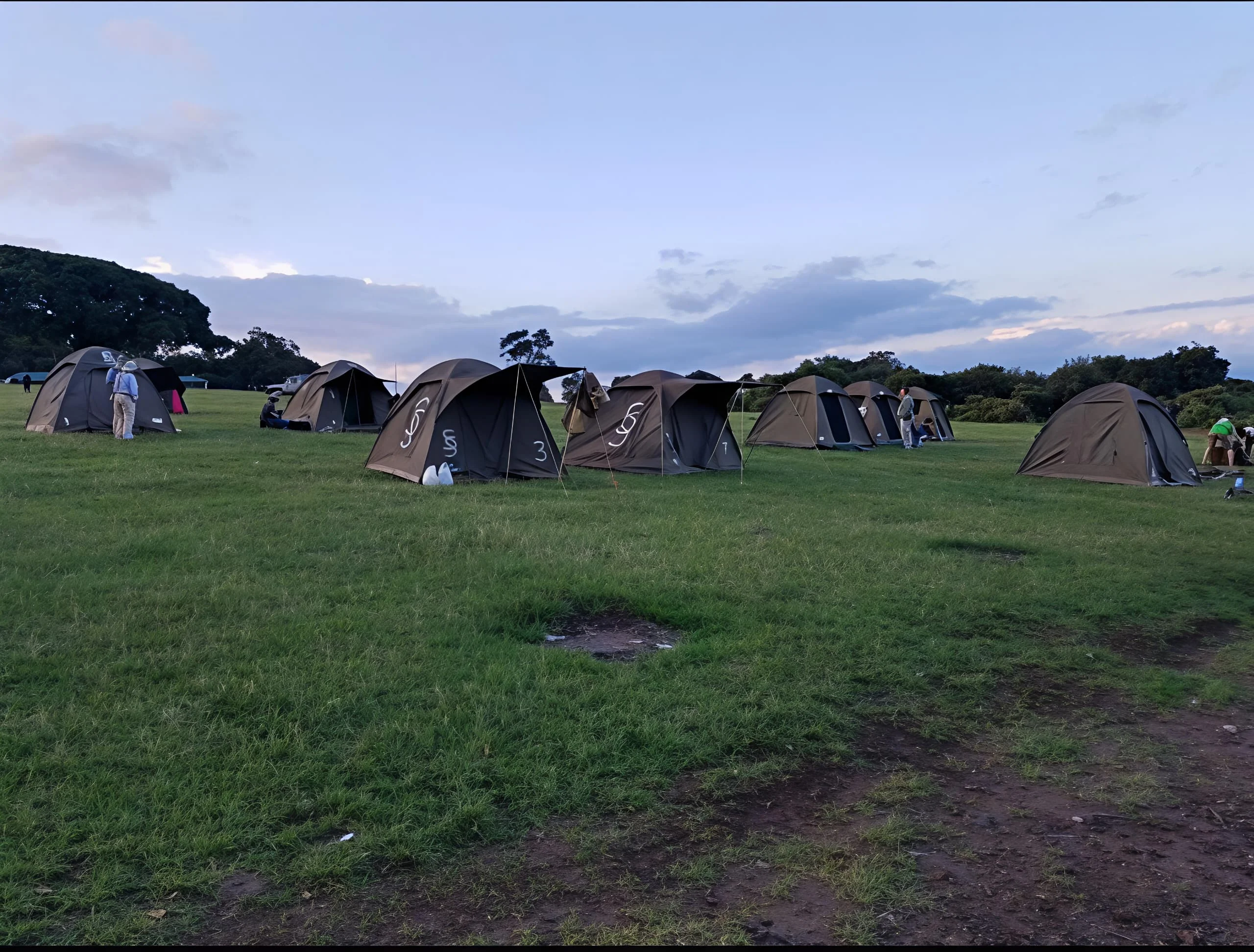 Simba A Public Campsite – Ngorongoro