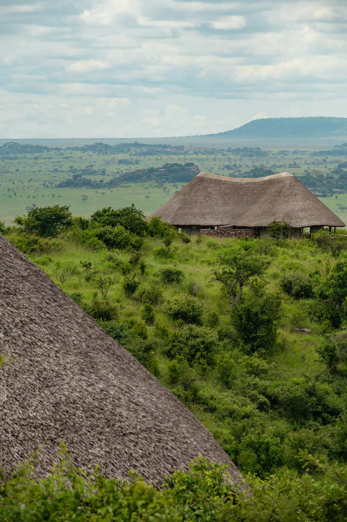 Serengeti lake magadi