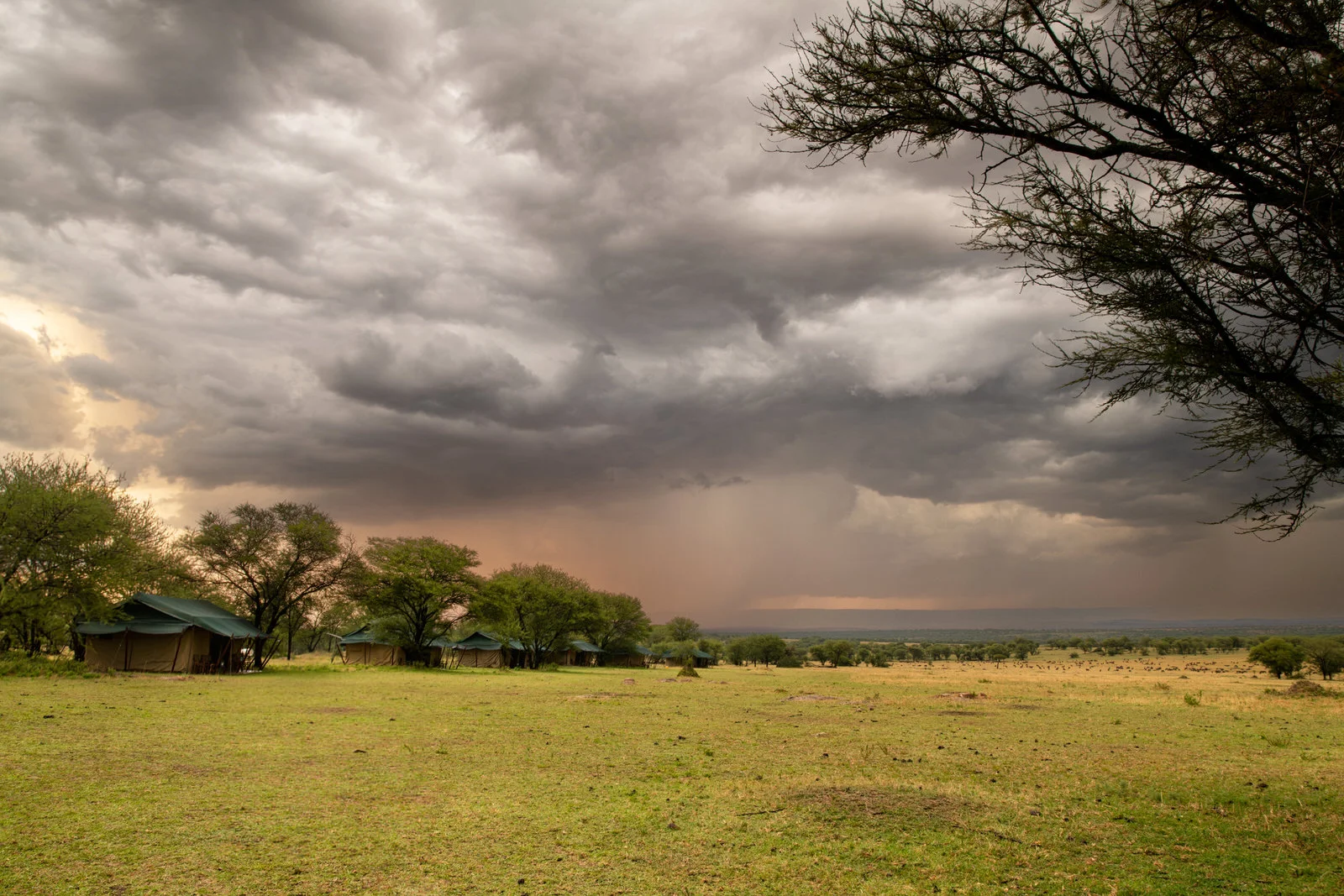 Mara Under Camvas  – photo 5