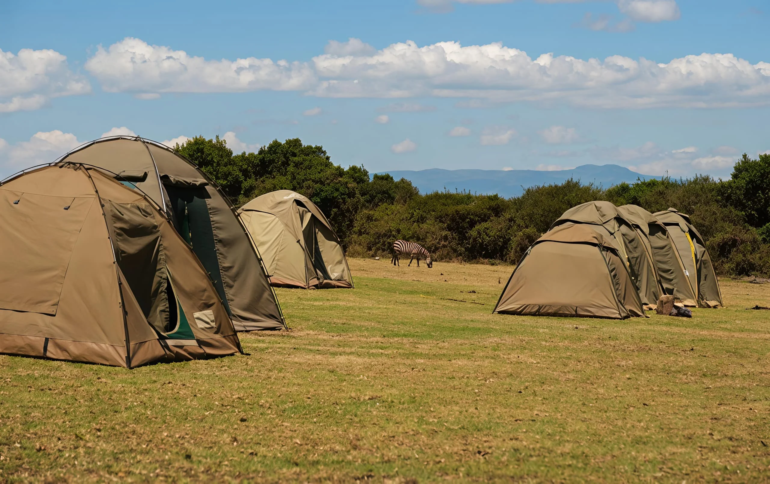 Simba A Public Campsite – Ngorongoro