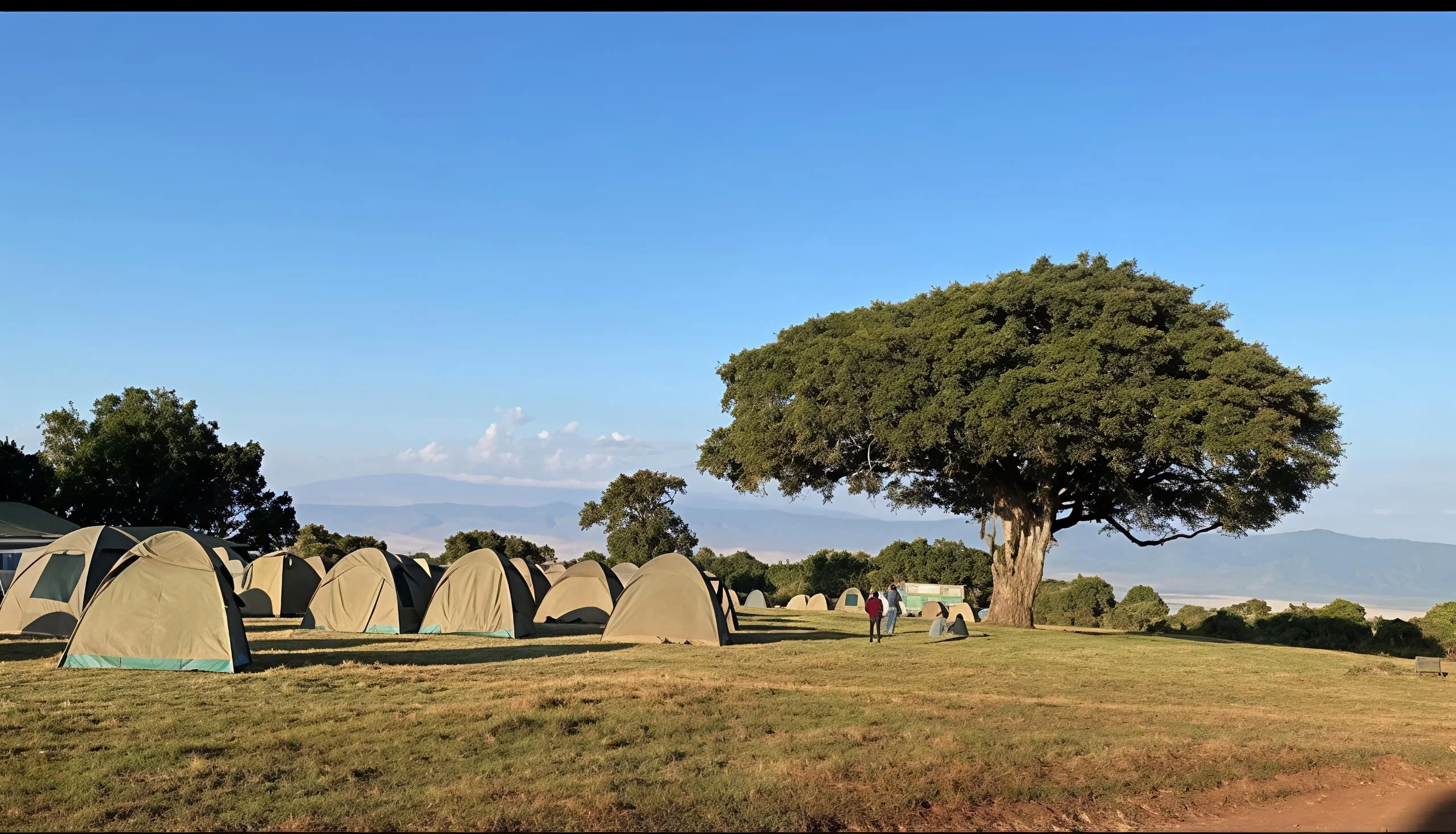 Simba A Public Campsite – Ngorongoro