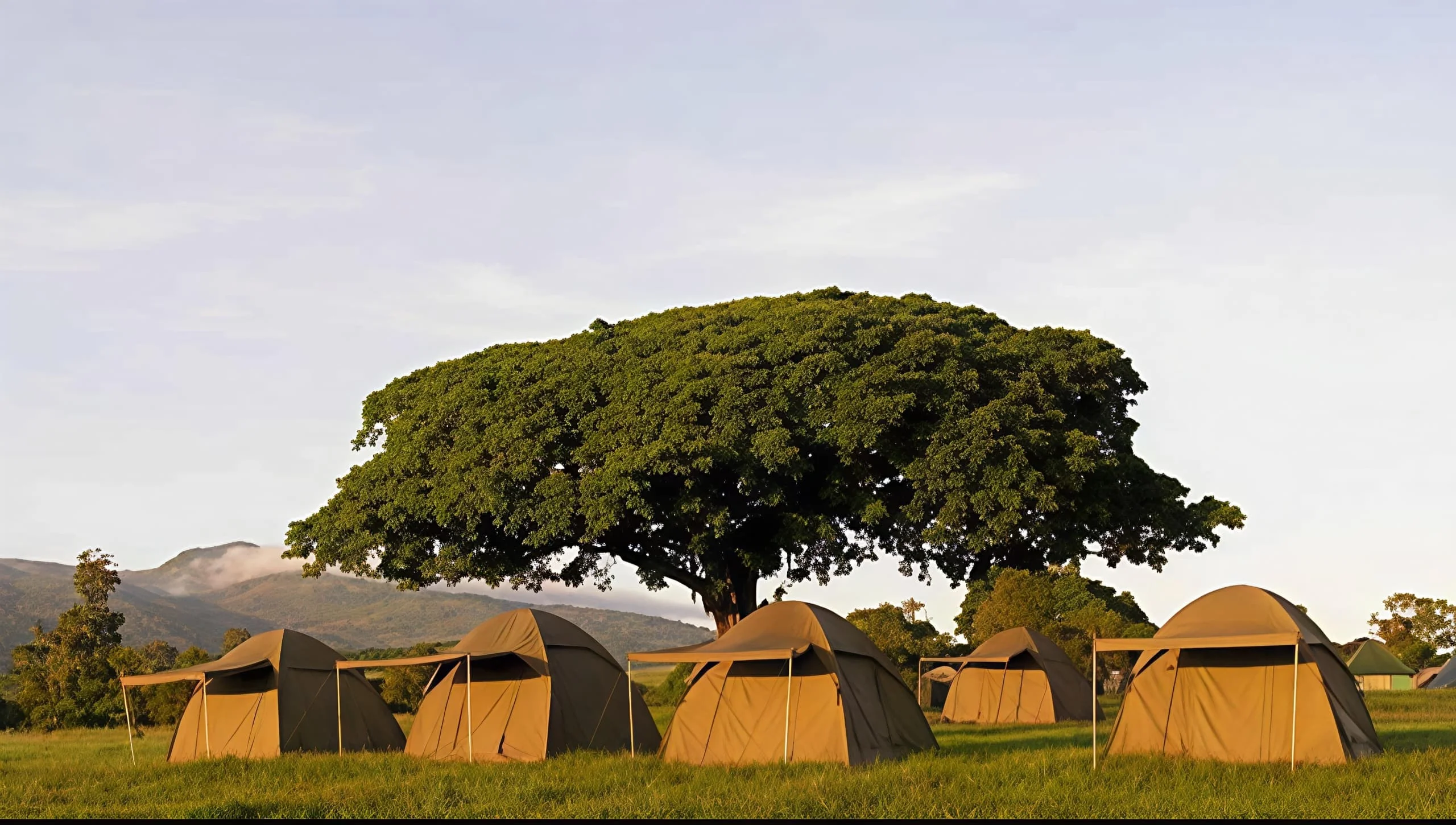 Seronera Public Campsites – Central serengeti