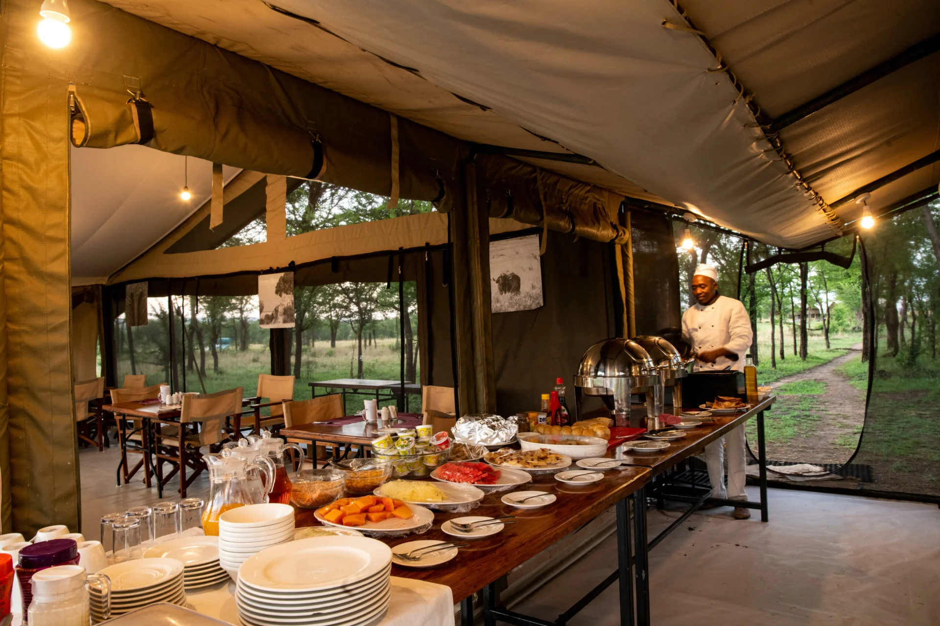 Serengeti Kati Kati Tented Camp – photo 6