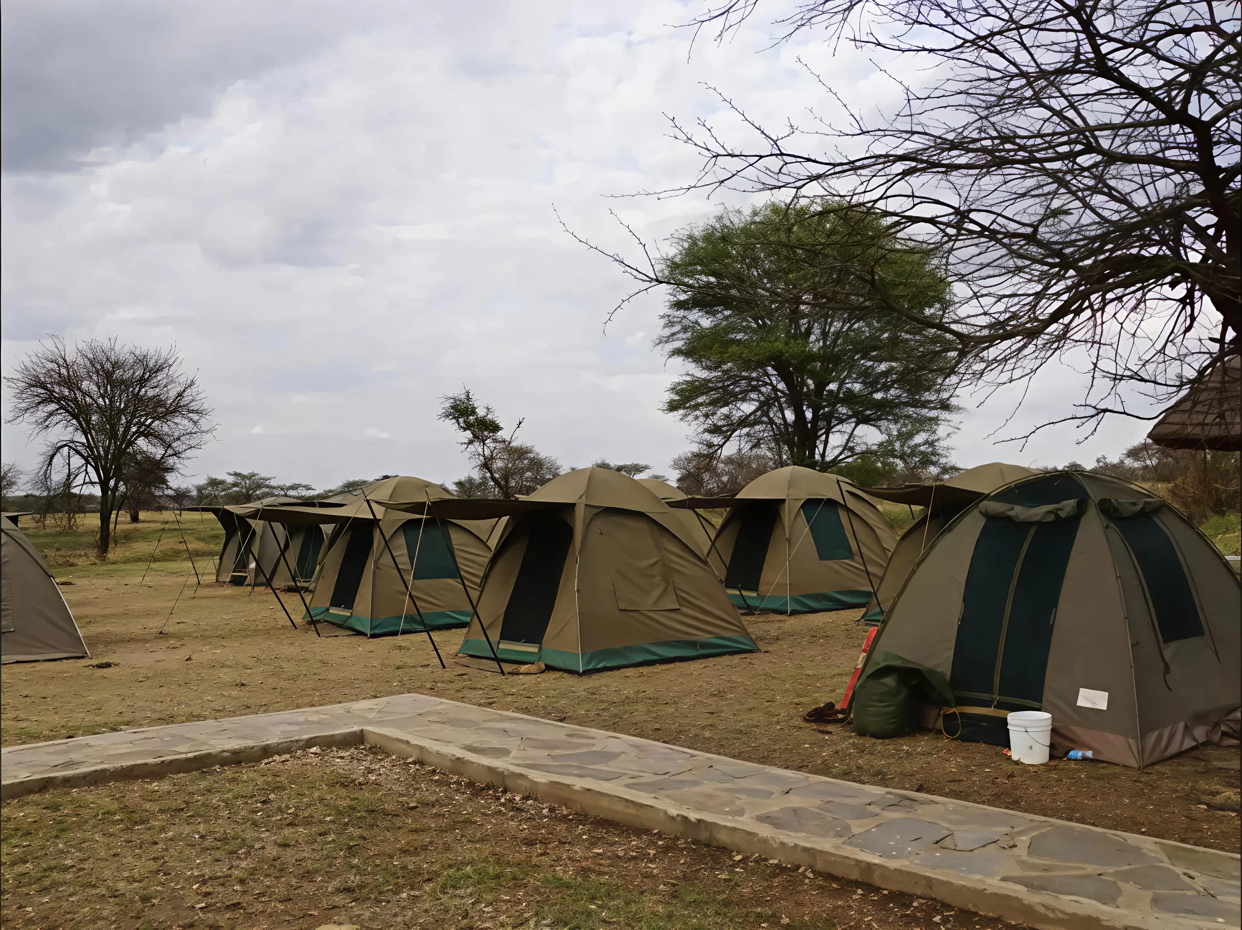 Seronera Public Campsites – Central serengeti 