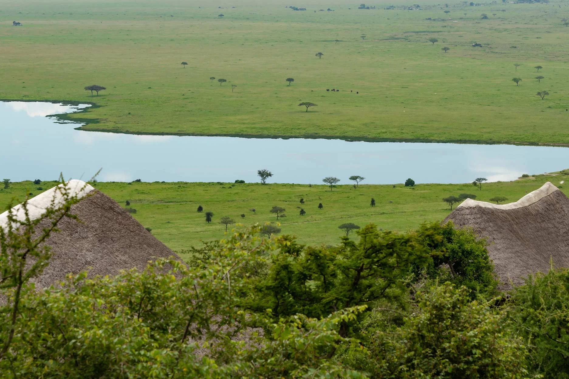 Serengeti lake magadi